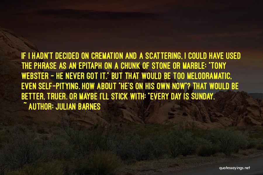 Pitying Yourself Quotes By Julian Barnes