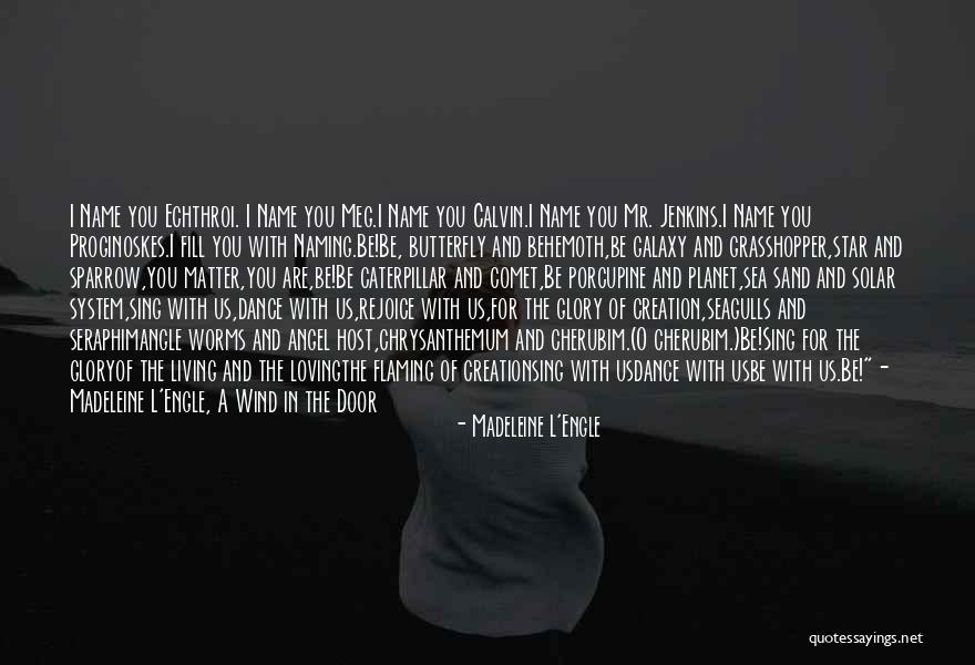 Pivinorm Quotes By Madeleine L'Engle Pivinorm Quotes By Madeleine L'Engle