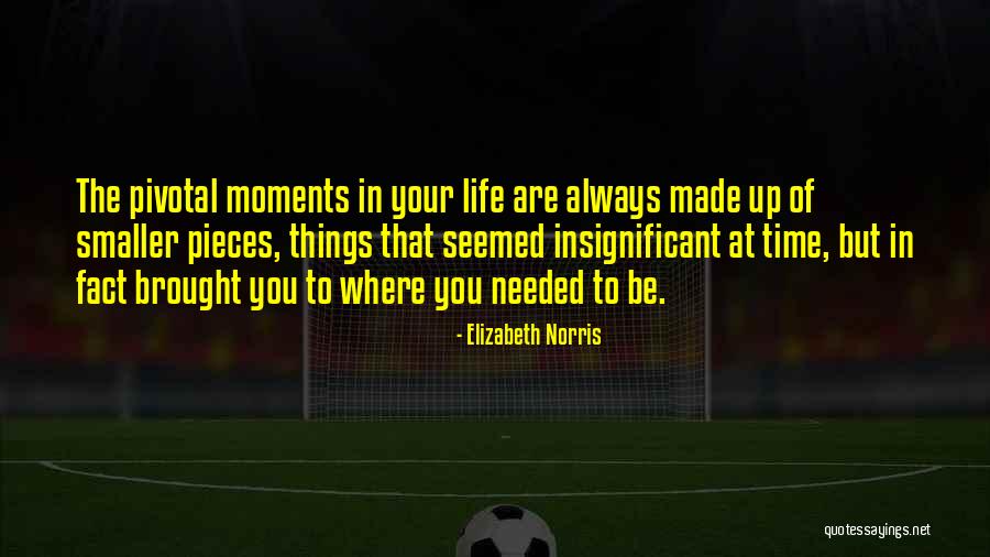 Pivotal Moments Quotes By Elizabeth Norris Pivotal Moments Quotes By Elizabeth Norris