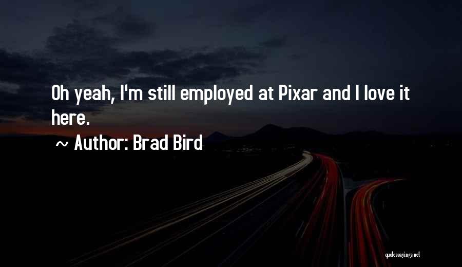 Pixar Quotes By Brad Bird