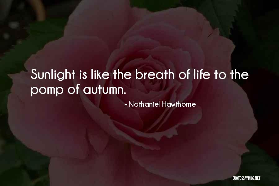 Pixars Quotes By Nathaniel Hawthorne Pixars Quotes By Nathaniel Hawthorne
