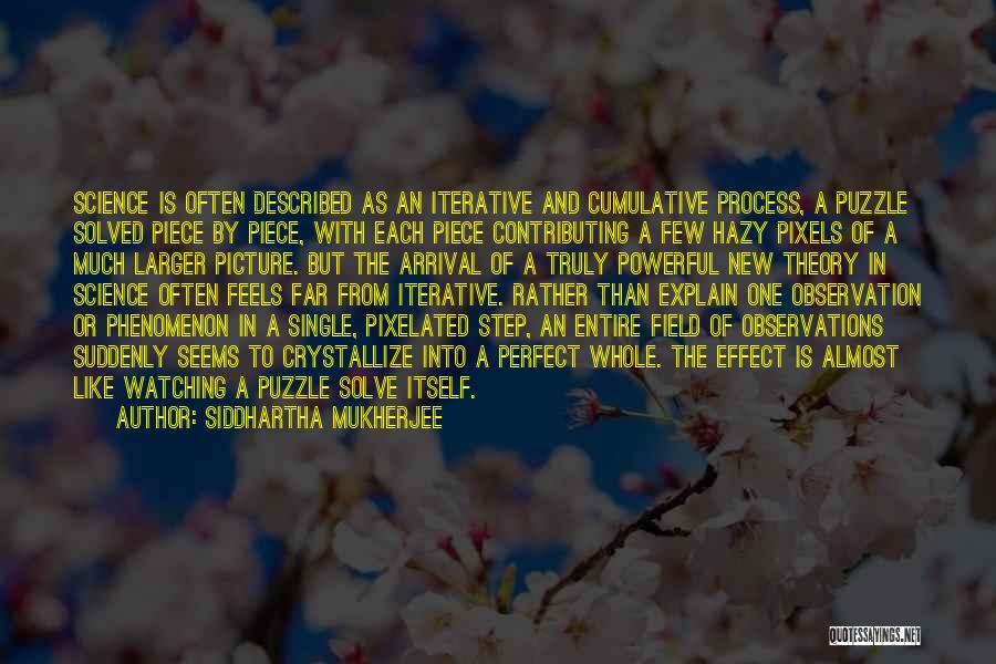 Pixelated Quotes By Siddhartha Mukherjee