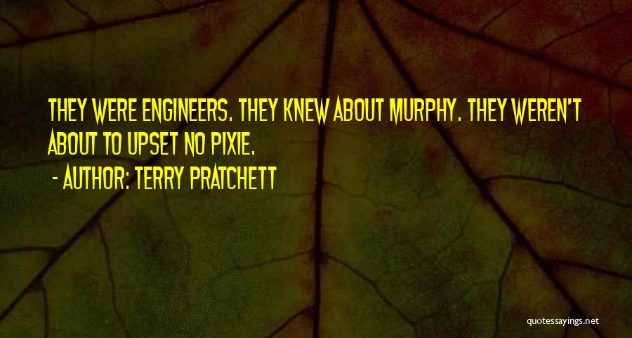 Pixie Quotes By Terry Pratchett