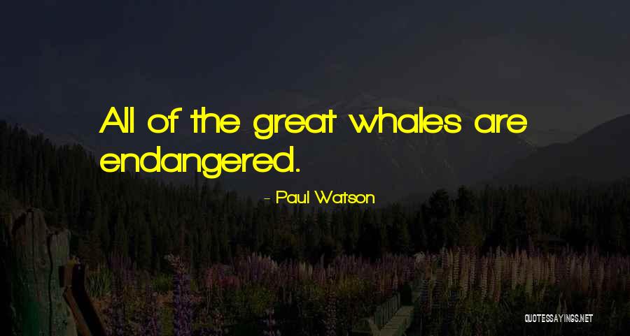 Piyadasa Wengappuli Quotes By Paul Watson Piyadasa Wengappuli Quotes By Paul Watson