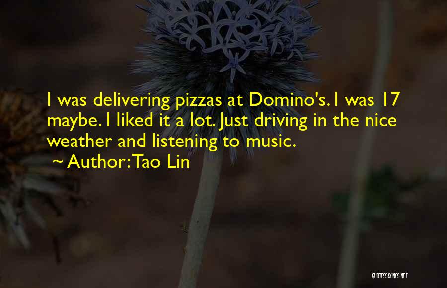 Pizzas Quotes By Tao Lin