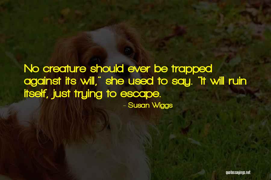 Pizzelle Recipe Quotes By Susan Wiggs Pizzelle Recipe Quotes By Susan Wiggs