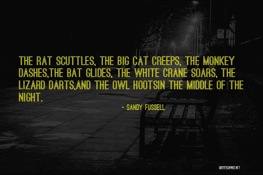 Pizzetti Recipe Quotes By Sandy Fussell Pizzetti Recipe Quotes By Sandy Fussell