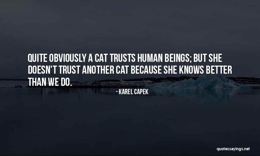 Pjesme Za Quotes By Karel Capek