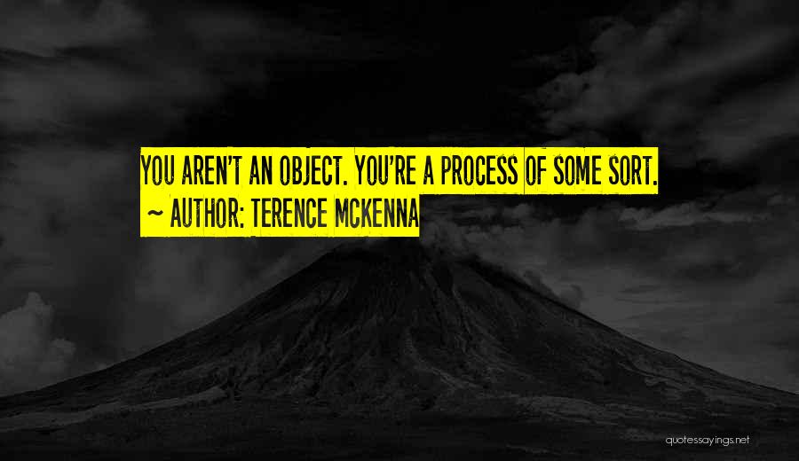 Pkk Flag Quotes By Terence McKenna