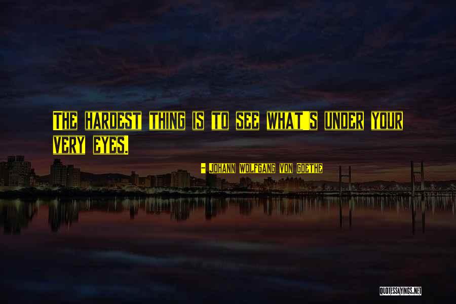 Pl Sticos Futura Quotes By Johann Wolfgang Von Goethe Pl Sticos Futura Quotes By Johann Wolfgang Von Goethe