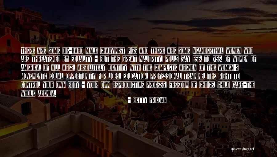 Plaatsing Laminaat Quotes By Betty Friedan Plaatsing Laminaat Quotes By Betty Friedan