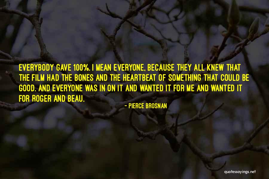 Plaatsvervulling Quotes By Pierce Brosnan Plaatsvervulling Quotes By Pierce Brosnan