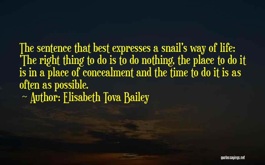 Place And Time Quotes By Elisabeth Tova Bailey
