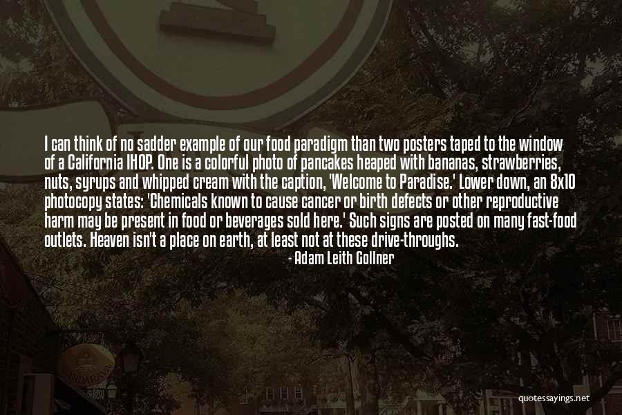 Place Of Birth Quotes By Adam Leith Gollner Place Of Birth Quotes By Adam Leith Gollner