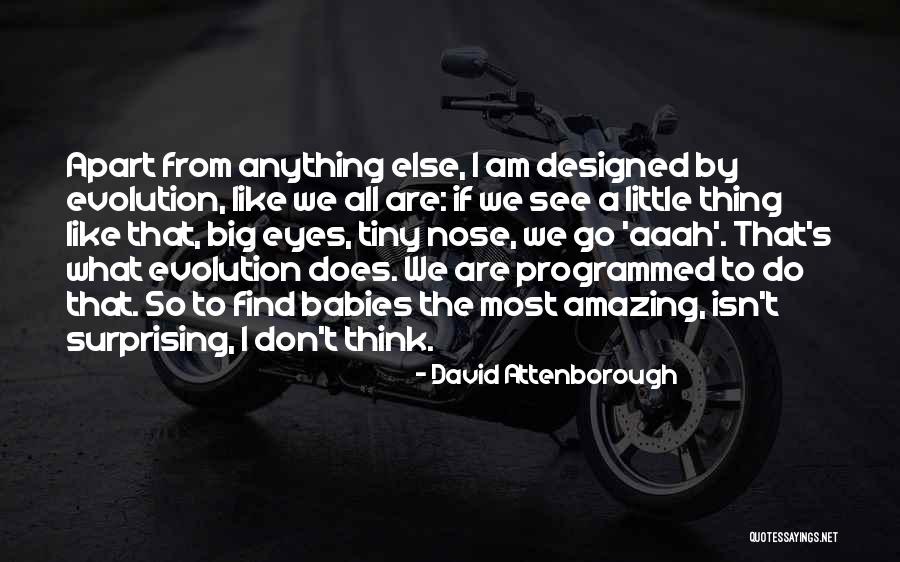 Placemaking Projects Quotes By David Attenborough Placemaking Projects Quotes By David Attenborough