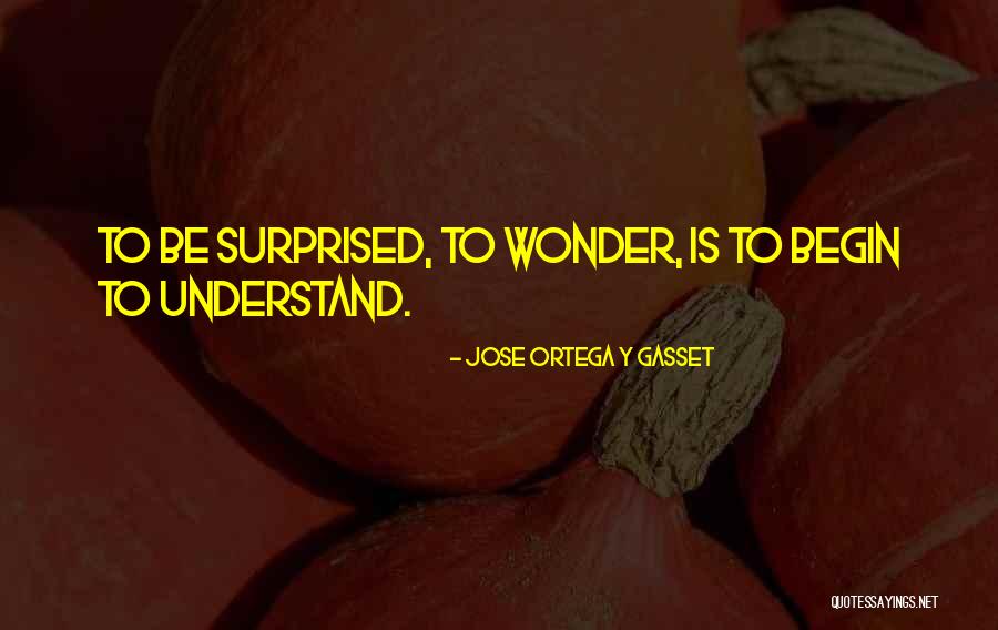 Placerea Naturii Quotes By Jose Ortega Y Gasset