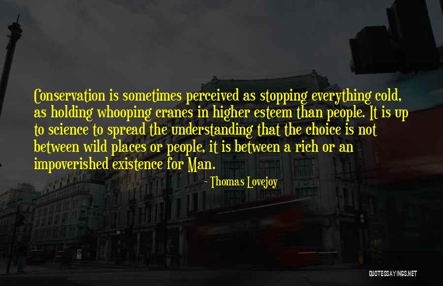 Places In Between Quotes By Thomas Lovejoy Places In Between Quotes By Thomas Lovejoy