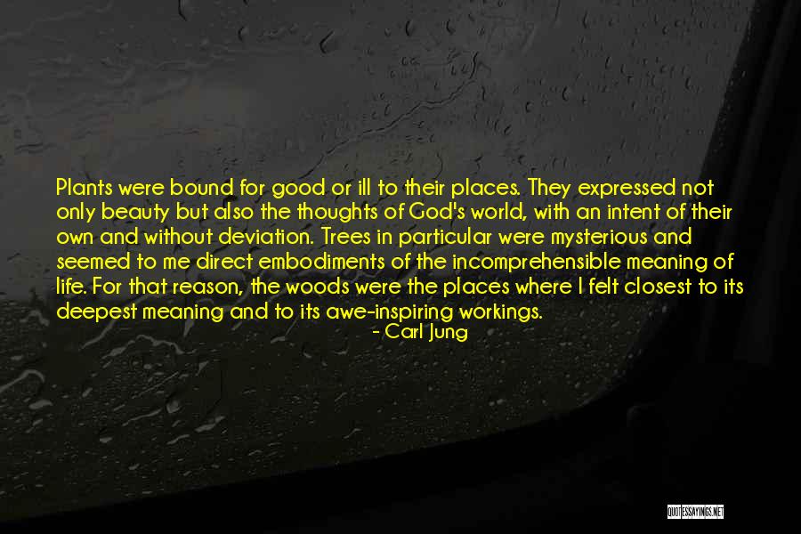 Places In The World Quotes By Carl Jung