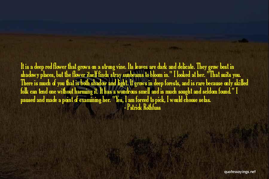 Places They Found Quotes By Patrick Rothfuss Places They Found Quotes By Patrick Rothfuss