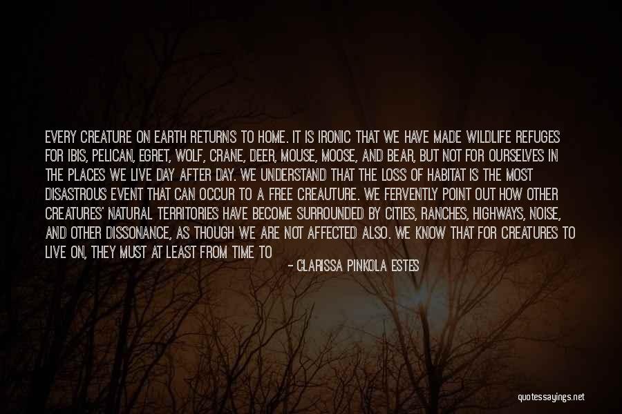 Places To Live Quotes By Clarissa Pinkola Estes