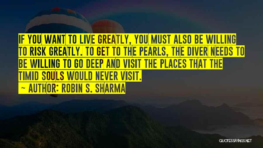 Places You Visit Quotes By Robin S. Sharma