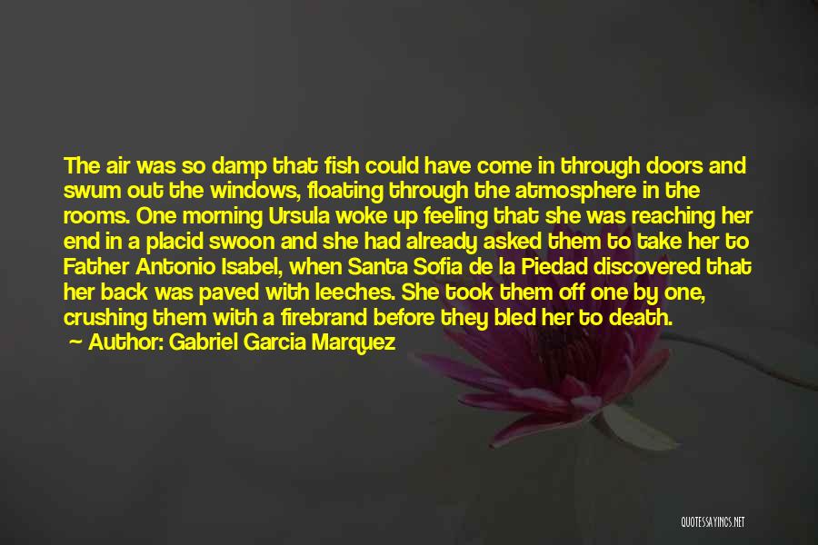 Placid Quotes By Gabriel Garcia Marquez