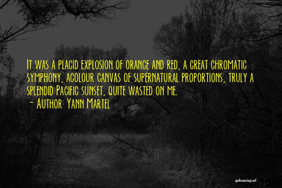 Placid Quotes By Yann Martel