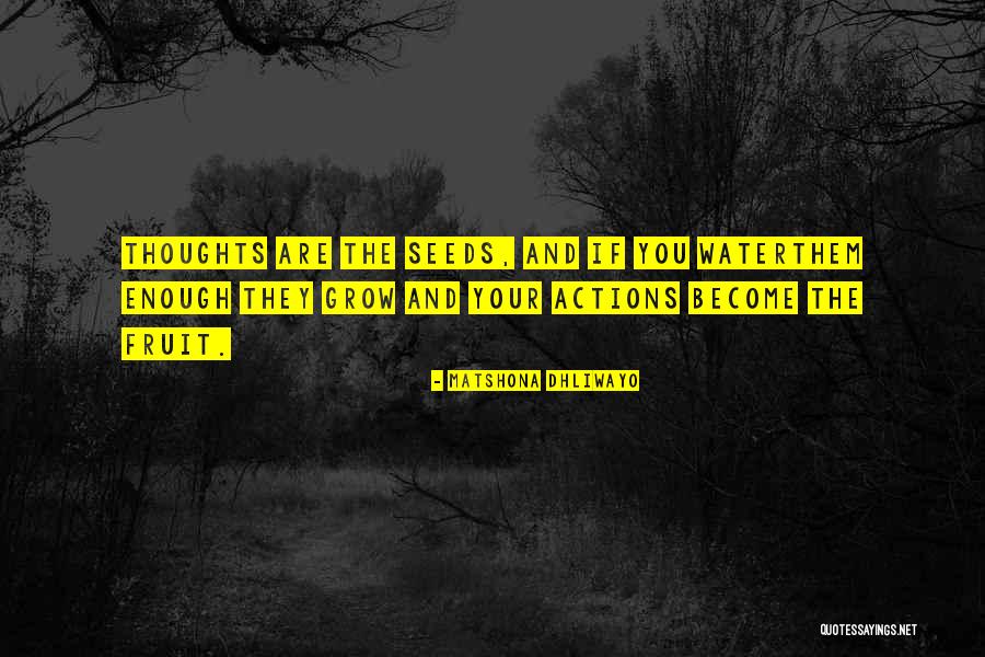 Placidly Amid Quotes By Matshona Dhliwayo Placidly Amid Quotes By Matshona Dhliwayo