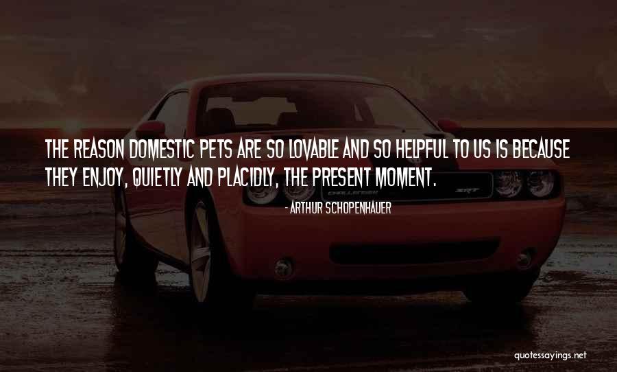Placidly Quotes By Arthur Schopenhauer Placidly Quotes By Arthur Schopenhauer