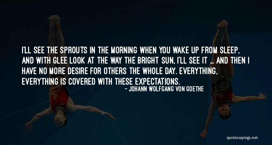 Placismo Quotes By Johann Wolfgang Von Goethe Placismo Quotes By Johann Wolfgang Von Goethe