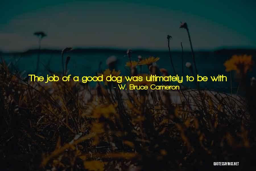 Plafonds Bureau Quotes By W. Bruce Cameron Plafonds Bureau Quotes By W. Bruce Cameron