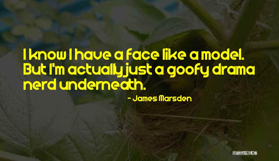 Plagens Construction Quotes By James Marsden Plagens Construction Quotes By James Marsden