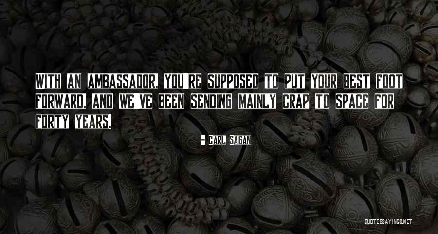 Plagiarism Citing Quotes By Carl Sagan Plagiarism Citing Quotes By Carl Sagan