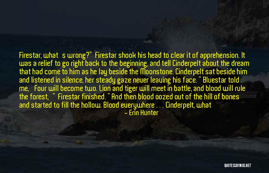 Plagiarism Direct Quotes By Erin Hunter Plagiarism Direct Quotes By Erin Hunter