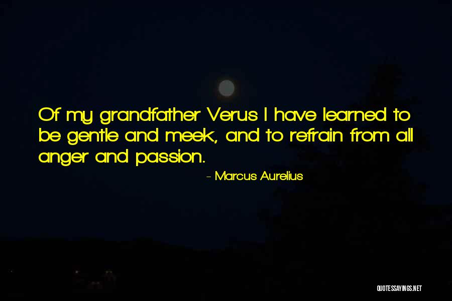 Plagiarism Direct Quotes By Marcus Aurelius Plagiarism Direct Quotes By Marcus Aurelius