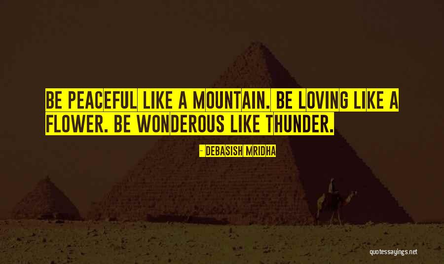 Plagioclase Quotes By Debasish Mridha Plagioclase Quotes By Debasish Mridha
