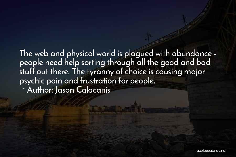Plagued Quotes By Jason Calacanis
