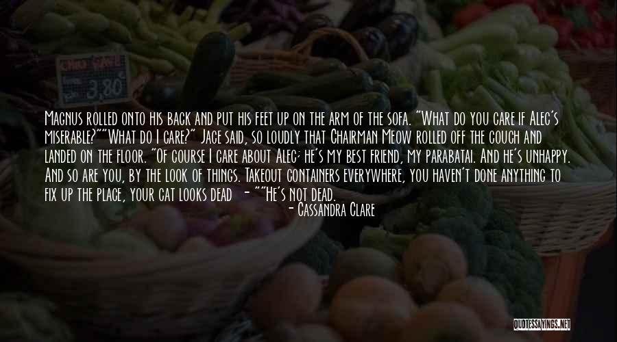 Plagueis Meme Quotes By Cassandra Clare Plagueis Meme Quotes By Cassandra Clare