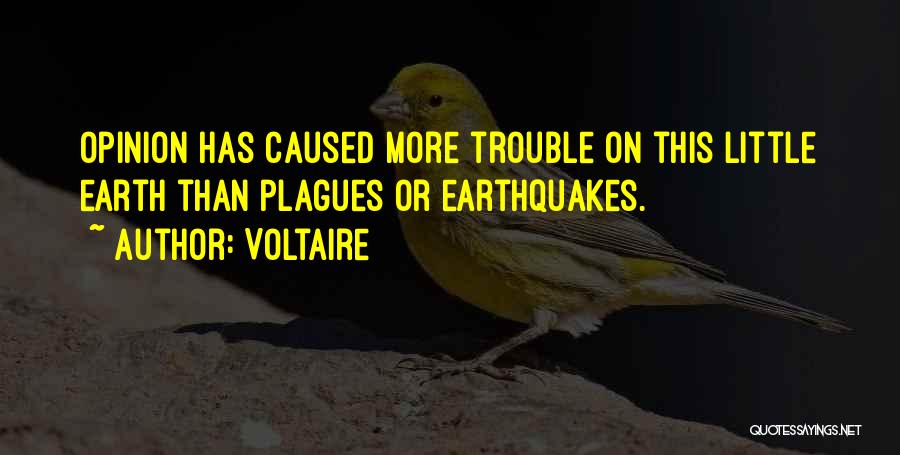 Plagues Quotes By Voltaire