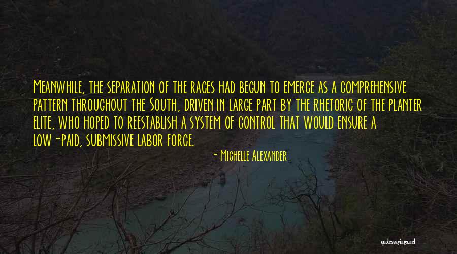 Plaguing Synonym Quotes By Michelle Alexander