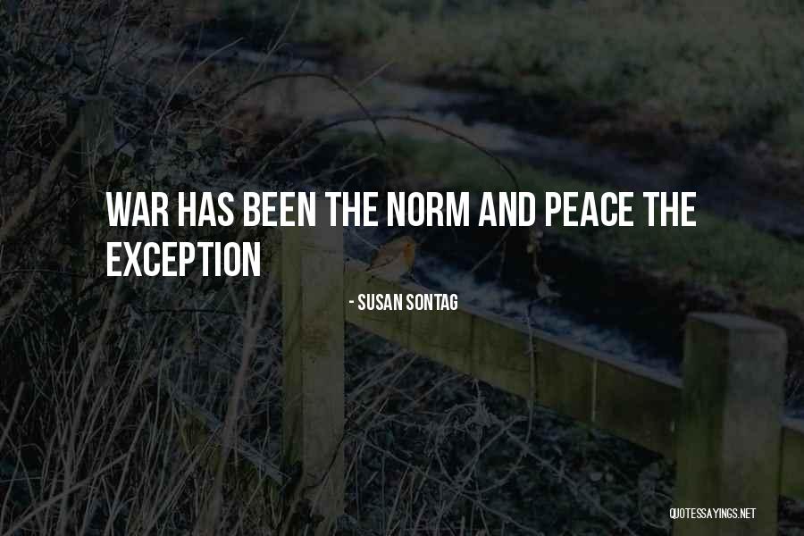 Plaider Quotes By Susan Sontag