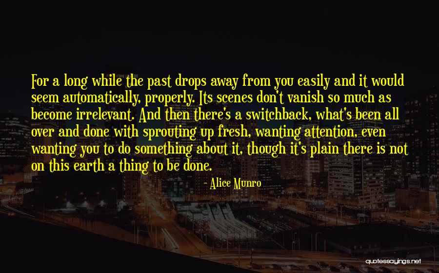 Plain Quotes By Alice Munro