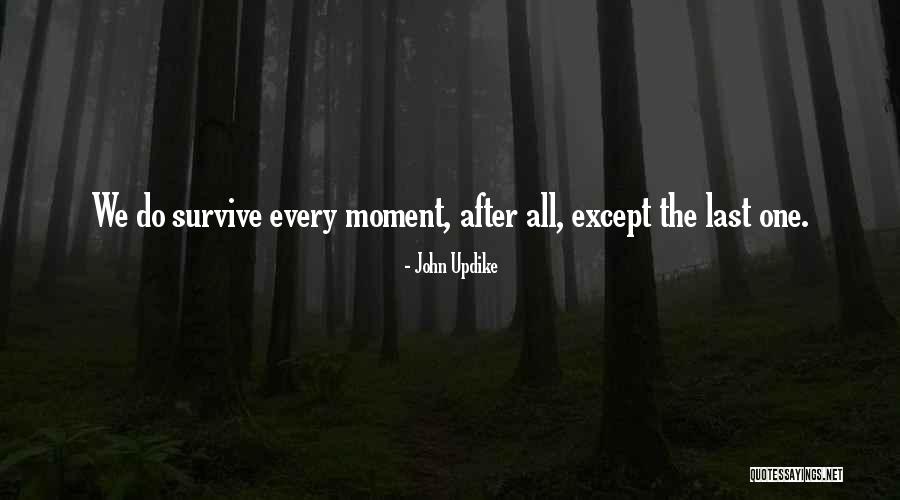 Plaines Quotes By John Updike Plaines Quotes By John Updike