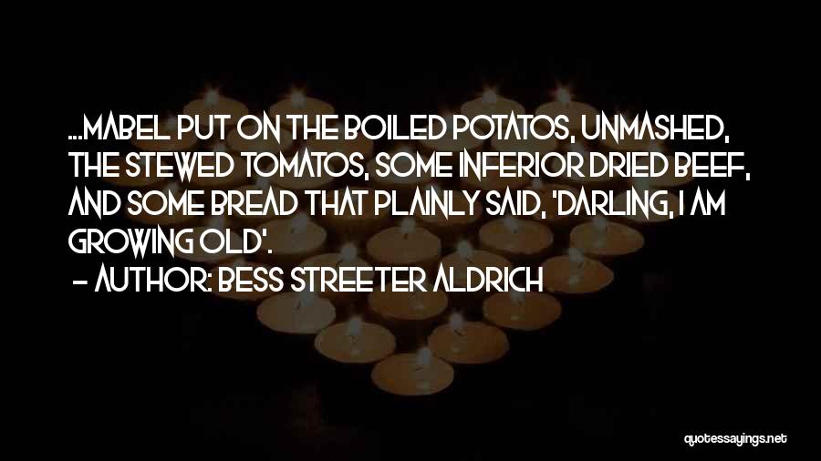 Plainly Put Quotes By Bess Streeter Aldrich