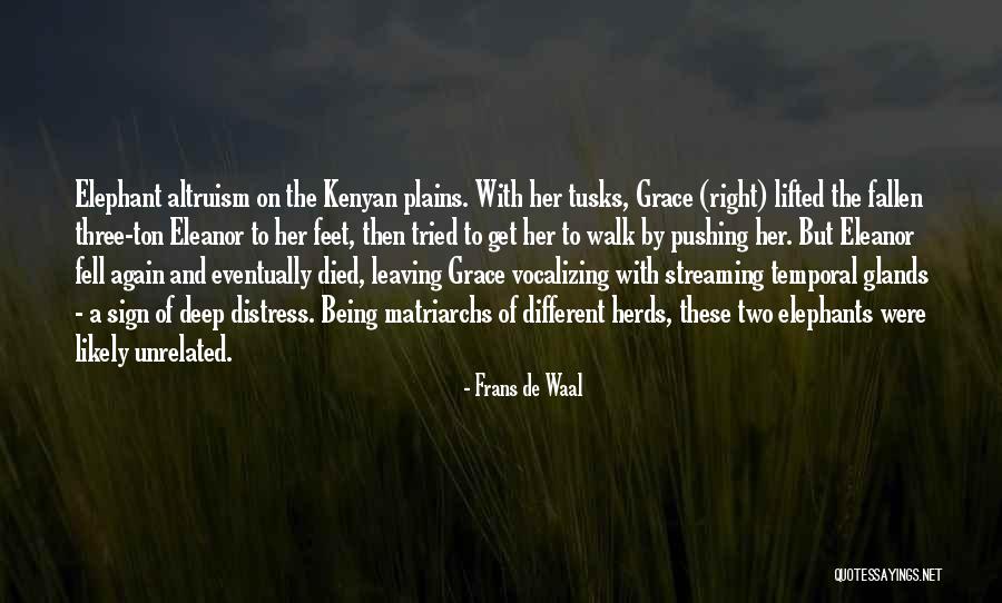 Plains Quotes By Frans De Waal Plains Quotes By Frans De Waal