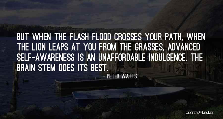 Plaintive Cry Quotes By Peter Watts Plaintive Cry Quotes By Peter Watts