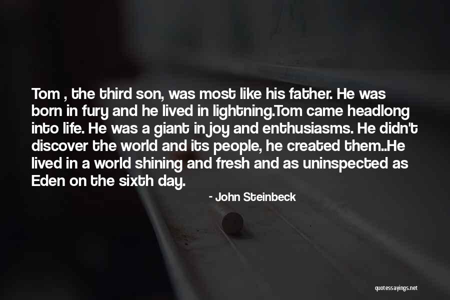 Plaits On Natural Hair Quotes By John Steinbeck Plaits On Natural Hair Quotes By John Steinbeck