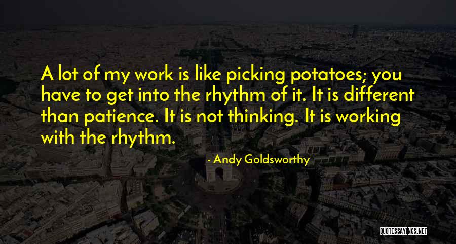 Plamann Quotes By Andy Goldsworthy Plamann Quotes By Andy Goldsworthy