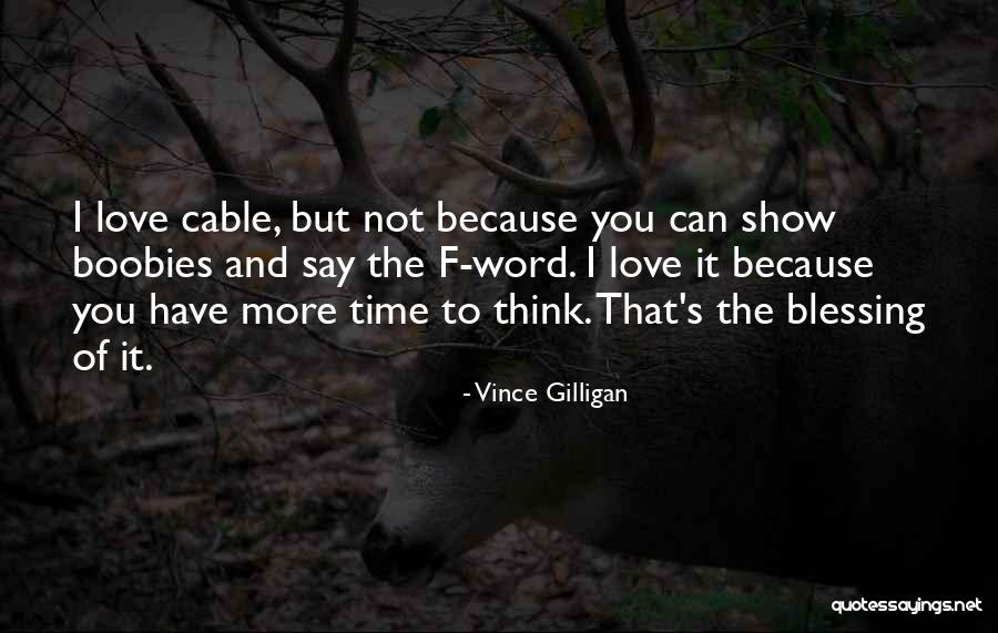 Plamates Quotes By Vince Gilligan