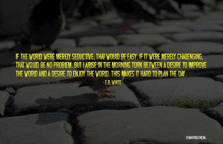 Plan A B Quotes By E.B. White Plan A B Quotes By E.B. White